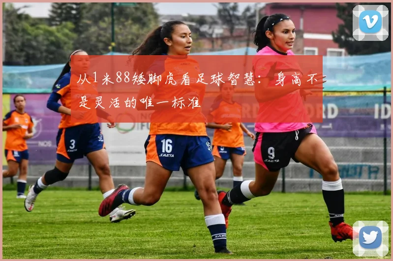 从1米88矮脚虎看足球智慧：身高不是灵活的唯一标准